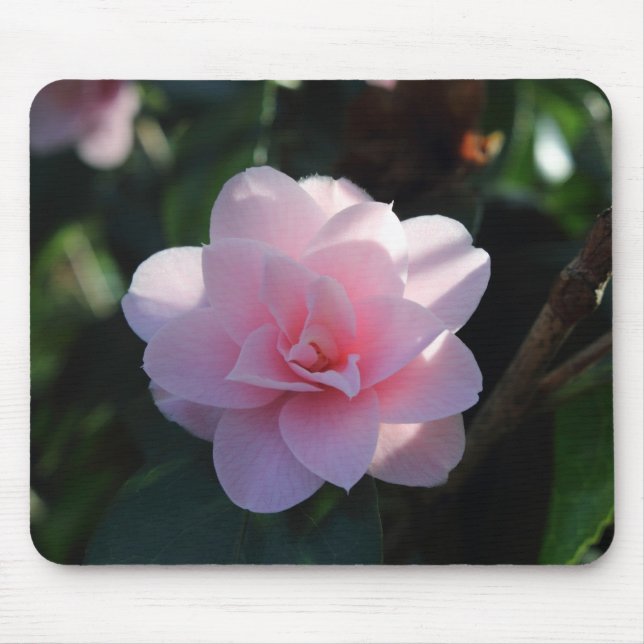 Mousepad Pink Camellia (Frente)