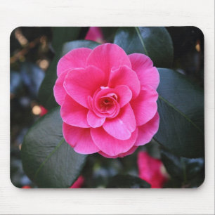 Mousepad Pink Camellia