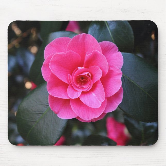 Mousepad Pink Camellia (Frente)