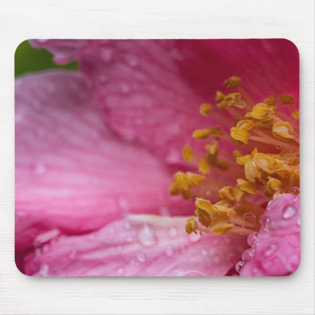 Mousepad Pink Camellia Flower Stamens (Frente)
