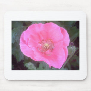 Mousepad Pink Poppy