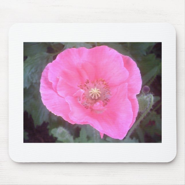Mousepad Pink Poppy (Frente)