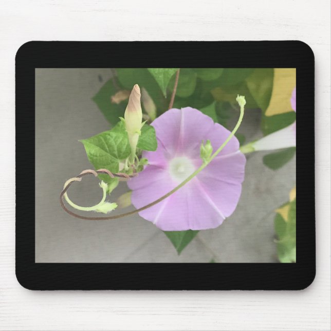 Mousepad Pink Symphony Morning Glory  (Frente)