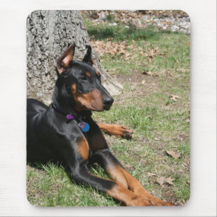 Mousepad Pinscher do Doberman