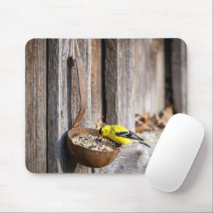 Mousepad Pintassilgo Amarelo em Concha Enferrujada