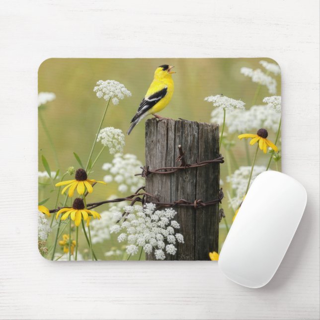 Mousepad Pintassilgo Cantando em uma Estaca de Cerca (Com mouse)
