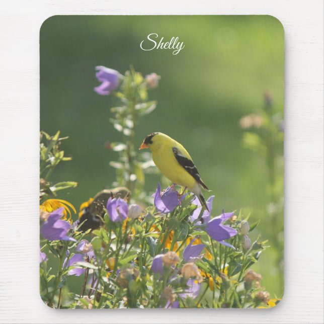 Mousepad Pintassilgo em uma Flor de Campainha (Frente)