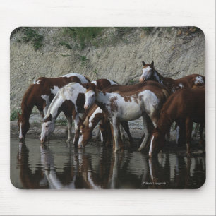 Mousepad Pinte beber dos cavalos