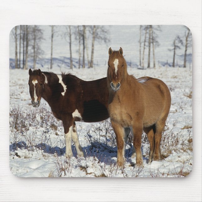 Mousepad Pinte cavalos na neve (Frente)