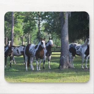 Mousepad Pinte cavalos nas árvores