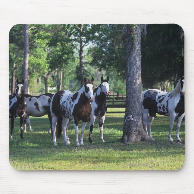 Mousepad Pinte cavalos nas árvores (Frente)
