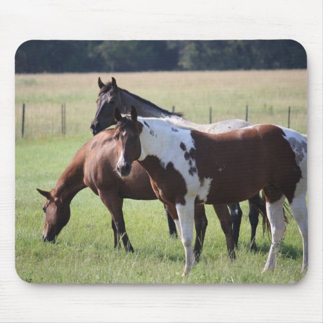 Mousepad Pinte o cavalo e os amigos (Frente)