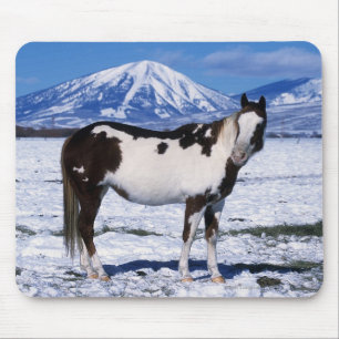 Mousepad Pinte o cavalo que está na neve