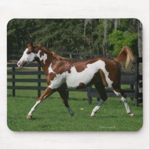 Mousepad Pinte o cavalo que funciona 1