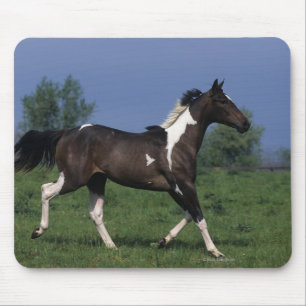 Mousepad Pinte o cavalo que funciona 2