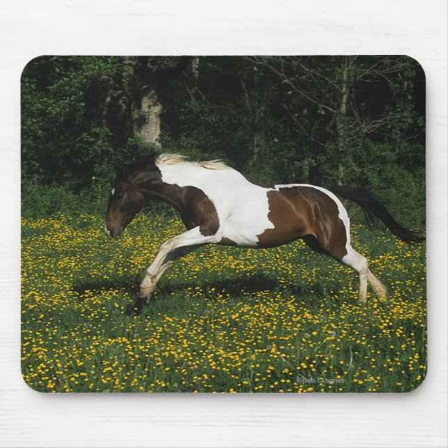 Mousepad Pinte o cavalo que funciona no campo das flores (Frente)
