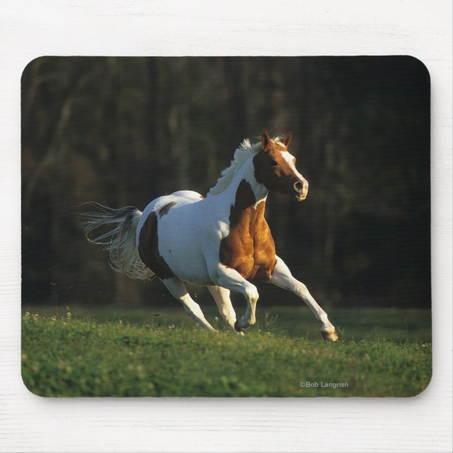 Mousepad Pinte o cavalo que funciona rapidamente (Frente)