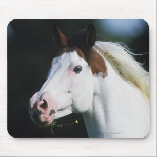 Mousepad Pinte o Headshot 3 do cavalo