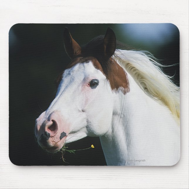 Mousepad Pinte o Headshot 3 do cavalo (Frente)