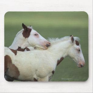 Mousepad Pinte o jogo dos potros