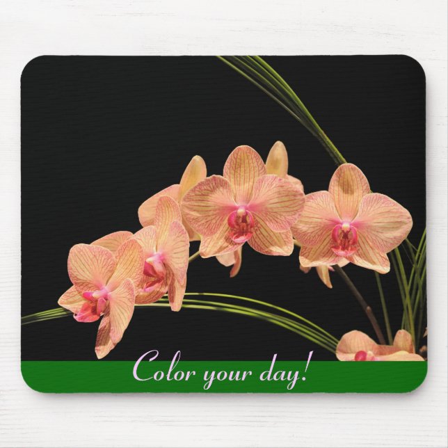 Mousepad Pinte seu dia! (Frente)