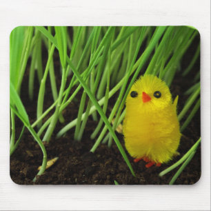 Mousepad pintinho