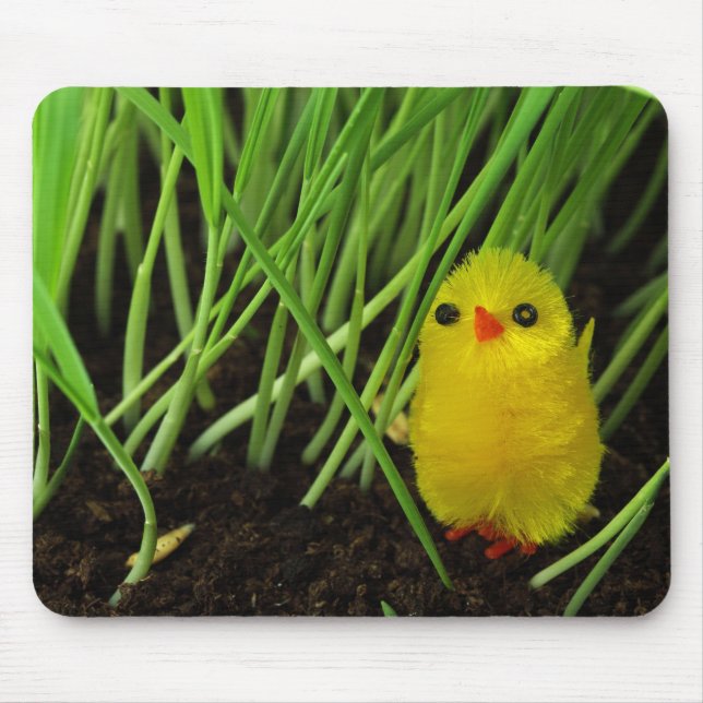 Mousepad pintinho (Frente)