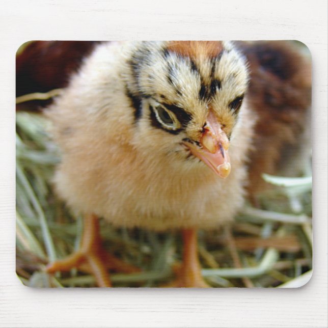 Mousepad  Pintinho (Frente)