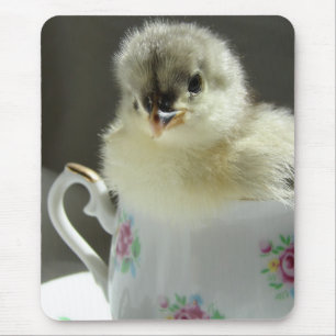 Mousepad Pintinho de Cochin Azul