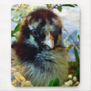 Mousepad Pintinho de Cochin de Silver Lacrado na Configura