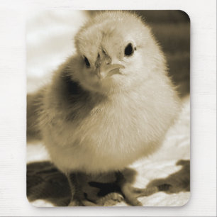 Mousepad Pintinho de inicialização