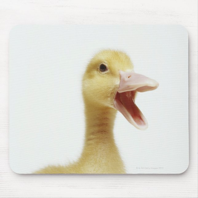 Mousepad Pintinho de pato de Pekin, com tiro na cabeça (Frente)
