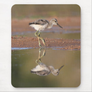 Mousepad Pintinho de prevenção