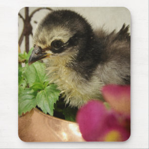 Mousepad Pintinho em Flores