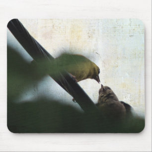 Mousepad Pintinho Goldfinch Feeds