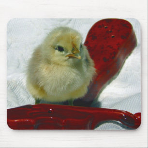 Mousepad Pintinho musical