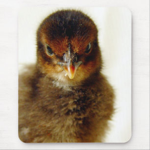 Mousepad Pintinho Pequeno