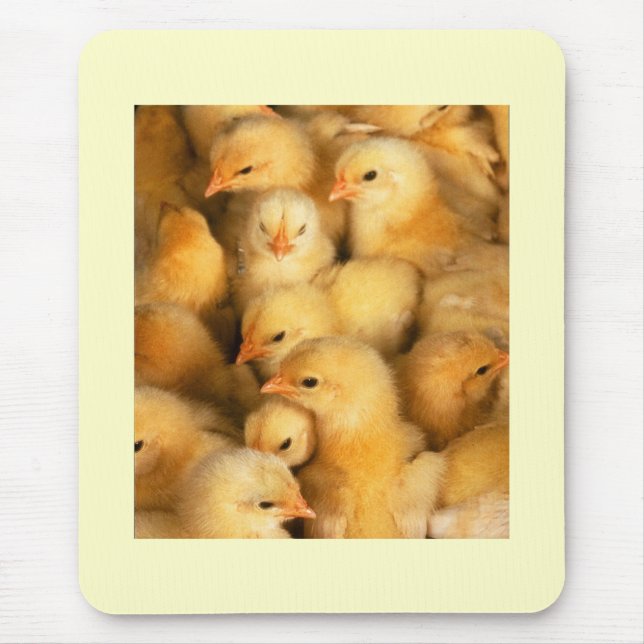 Mousepad Pintinhos (Frente)