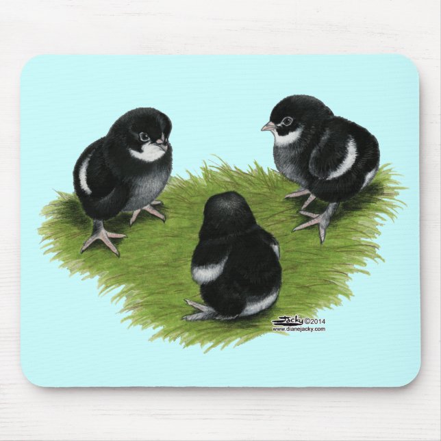 Mousepad Pintinhos de cobre pretos de Marans (Frente)
