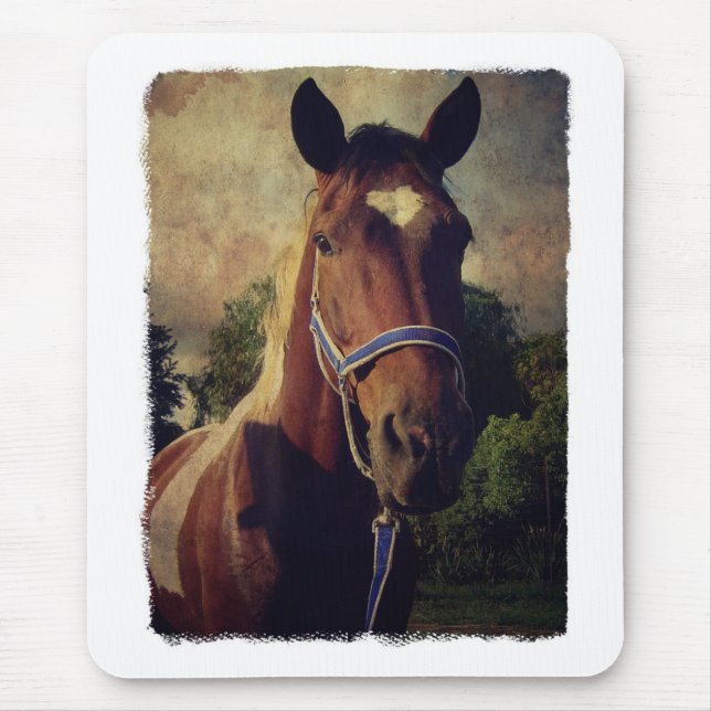 Mousepad Pinto (Frente)