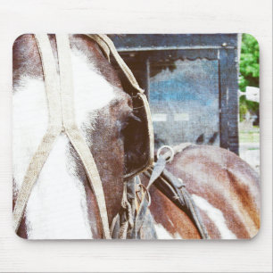Mousepad Pinto Amish Buggy Horse