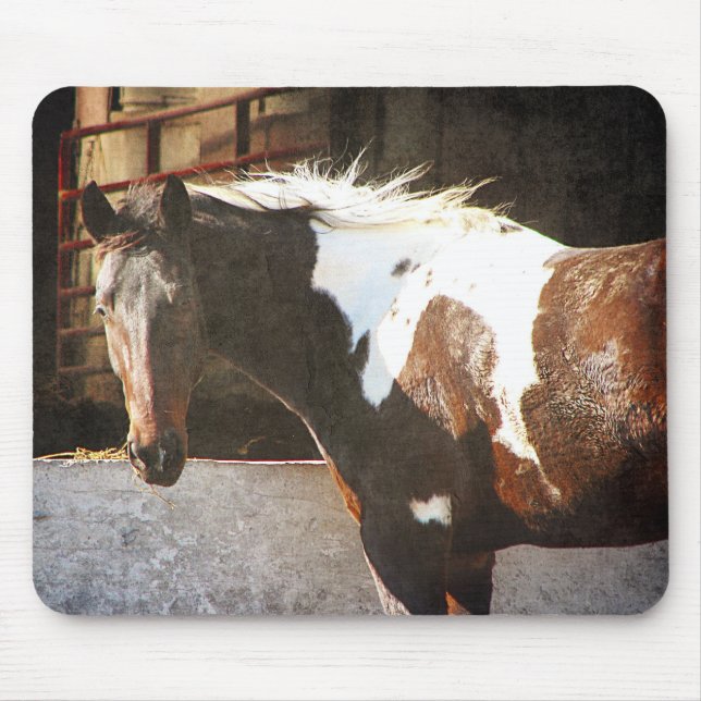 Mousepad Pinto Cavalo (Frente)