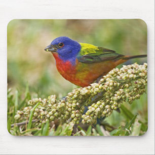 Mousepad Pintor-Colorido