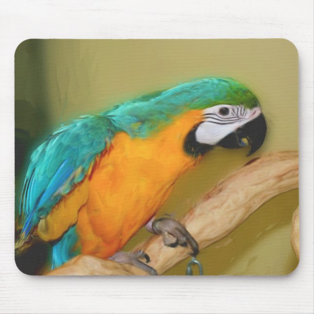 Mousepad Pintor de Macaw Dourado Azul Pintura Animal (Frente)