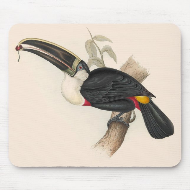 Mousepad Pintura Antiquada de Pássaros Toucanos (Frente)