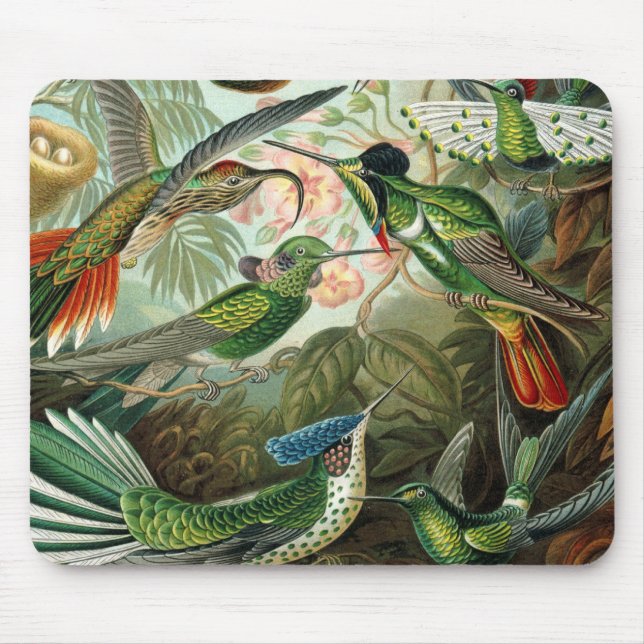 Mousepad pintura clássica da fauna selvagem de beija-flor (Frente)