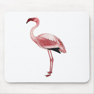 Mousepad Pintura cor-de-rosa do flamingo do vintage