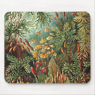 Mousepad Pintura De Cogumelo De Grama Haeckel Moss