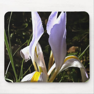 Mousepad Pintura em flor silvestre, na Argélia Íris