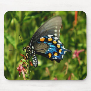 Mousepad Pipevine Swallowtail